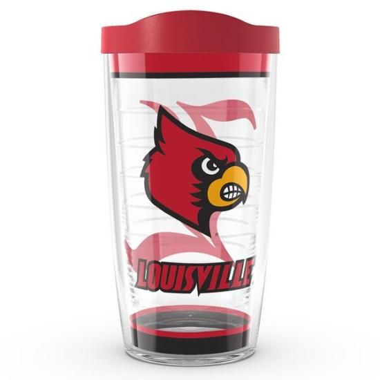 륤ӥ롦ʥ륹 Tervis 16(473ml) ȥǥ 饷å ֥ ᡼