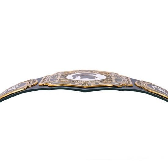 ߥ󥹥ƥȡѥ륿 WWE Legacy Title Belt ᡼8