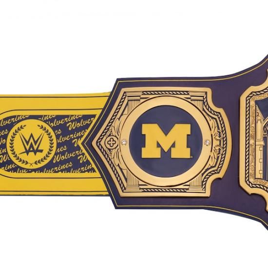 ߥ󡦥 WWE Legacy Title Belt ᡼6