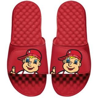 Nebraska Husker ͥ