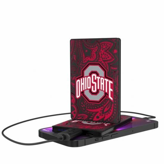 ϥƥȡХå 2500mAh Paisley ǥ 쥸å  ѥ ᡼