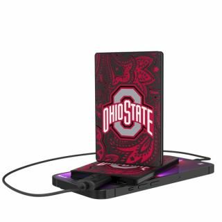 ϥƥȡХå 2500mAh Paisley ǥ 쥸å  ѥ ͥ