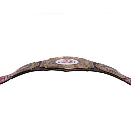 ϥƥȡХå WWE Legacy Title Belt ᡼8