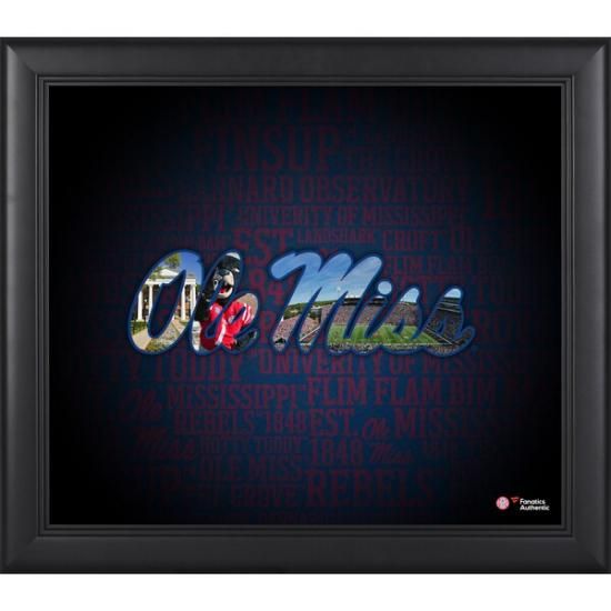ߥåԡ٥륹 եʥƥ ƥå ե졼 15'' x 17''   ᡼