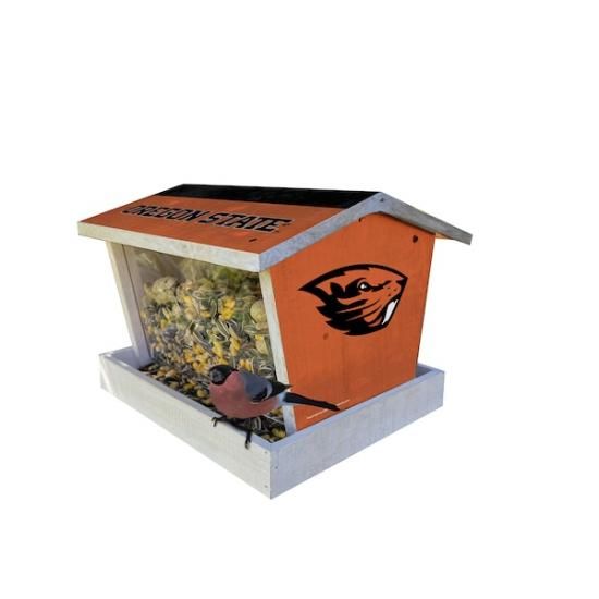 쥴󥹥ƥȡӡС  ץ饤 Bird Feeder ᡼