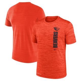 쥴󥹥ƥȡӡС Nike 2024 ɥ饤 Velocity 쥸 ѥե ͥ