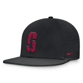 スタンフォード・カーディナル Nike オンフィールド ダグアウト トゥルー パフォーマンス フィッ