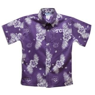 TCUۡɥեå V ͥ