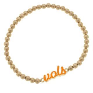 Tennessee Volunteers CANVAS  ǥ Enamel  ͥ