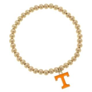 Tennessee Volunteers CANVAS  ǥ Enamel   ͥ
