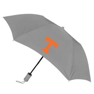 Tennessee Volunteers 42