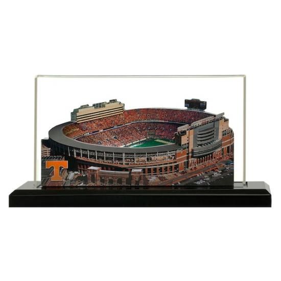 Tennessee Volunteers 19