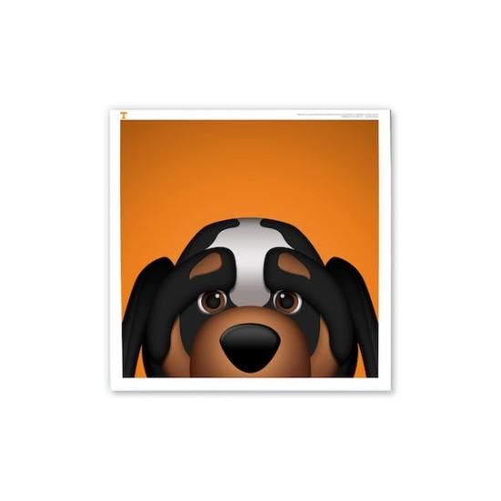 Smokey Tennessee Volunteers 12'' x 12'' ߥ˥ޥꥹ ޥ ᡼