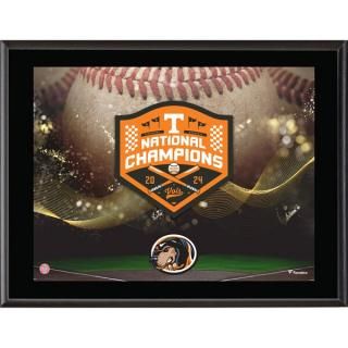 Tennessee Volunteers եʥƥ ƥå 2024 NCAA  ͥ