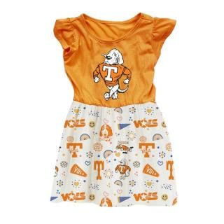 Tennessee Volunteers Wes & Willy å⤭ϤλҶ Vaul ͥ
