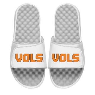 Tennessee Volunteers I饤 桼 Vols ɥޡ 饤  ͥ