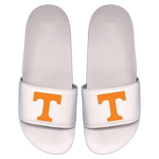 Tennessee Volunteers I饤 桼 ץ饤ޥ꡼  Motȥ  ͥ