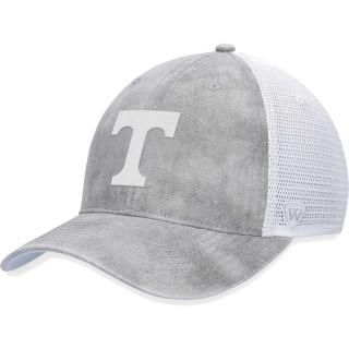 Tennessee Volunteers ȥå  the  졼 ȥå Ĵ ͥ