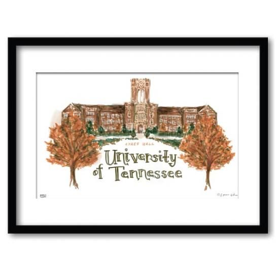 Tennessee Volunteers 11