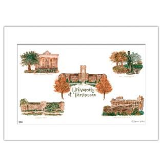 Tennessee Volunteers 16