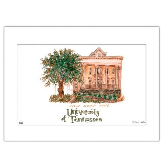 Tennessee Volunteers 11