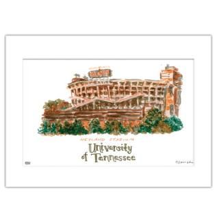 Tennessee Volunteers 11