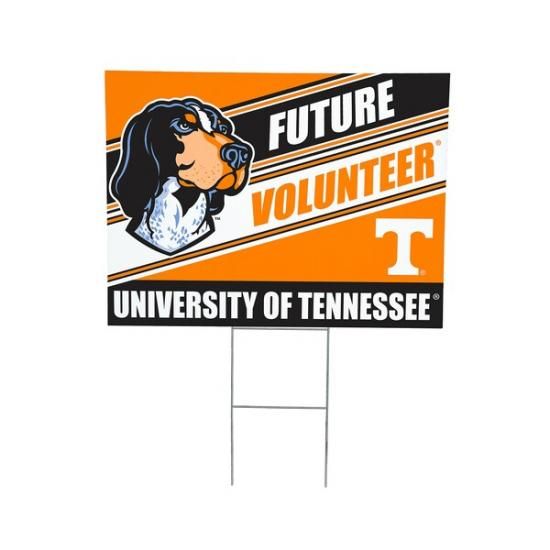 Tennessee Volunteers 18