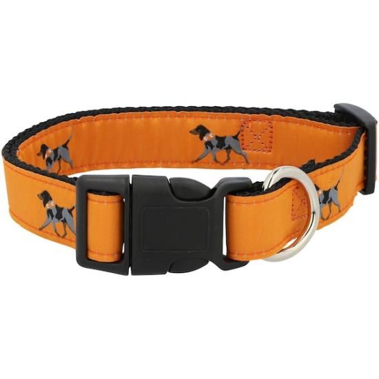 Tennessee Volunteers   1