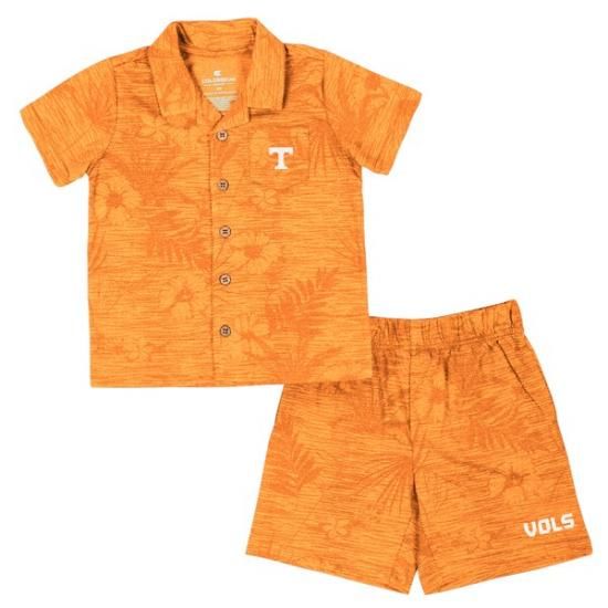 Tennessee Volunteers å å⤭ϤλҶ Fern   ᡼