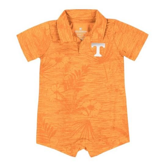 Tennessee Volunteers å å Fern ѡ - Tennes ᡼