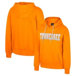 Tennessee Volunteers å ǥ Reflecti 饤󥹥ȡ ͥ