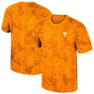 Tennessee Volunteers å 桼 Fern ԥ - Tenness ͥ
