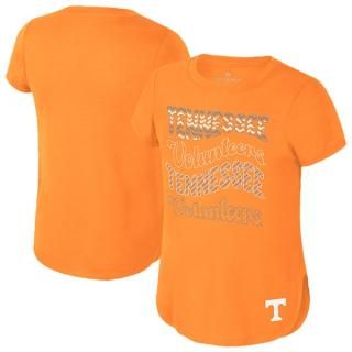 Tennessee Volunteers å 桼 Rogan ԥ - Tennes ͥ