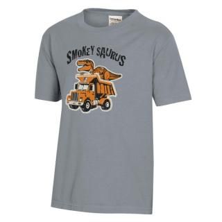 Tennessee Volunteers ComfortWash 桼 Dino ȥå ԥ ͥ