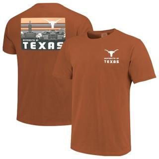 ƥ󥰥ۡ ȥ饤 ѥ 饤 ԥ - Texas  ͥ