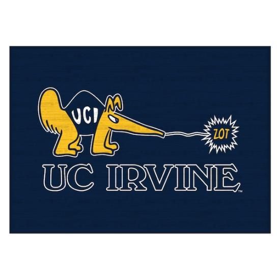 UC Irvine Anteåers 5' x 7.5' 饰ޥå ᡼