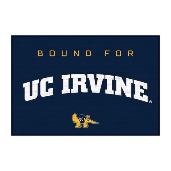 UC Irvine Anteåers 20