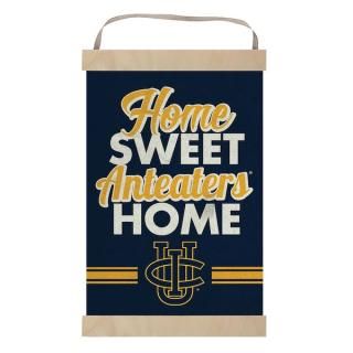 UC Irvine Anteåers ۡ  ۡ Хʡ  ͥ