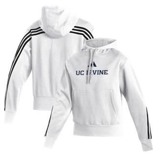UC Irvine Anteåers ǥ ǥ եå ץ륪С ѡ ͥ