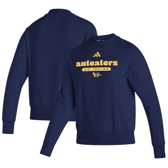 UC Irvine Anteåers ǥ ǥ ơ ץ륪С  ᡼