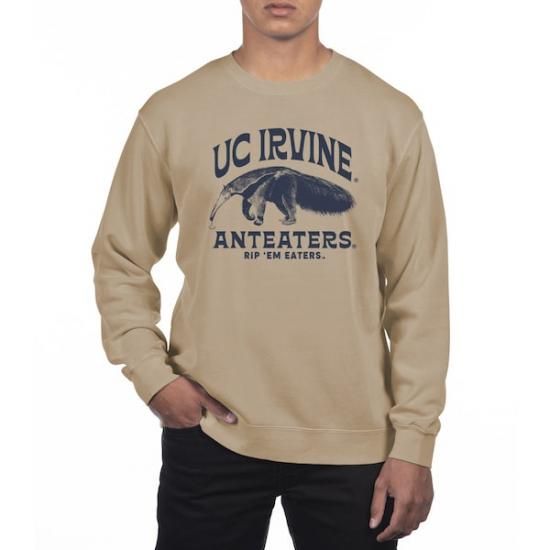 UC Irvine Anteåers Uscape ѥ Pigment Dyed ե꡼ ᡼