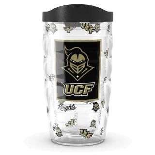 UCFʥ Tervis 10󥹡295ml С 饷å ֥顼 ͥ