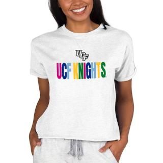 UCFʥ 󥻥ץ ݡ ǥ ȥ饤֥ Mainstream Terry  ͥ
