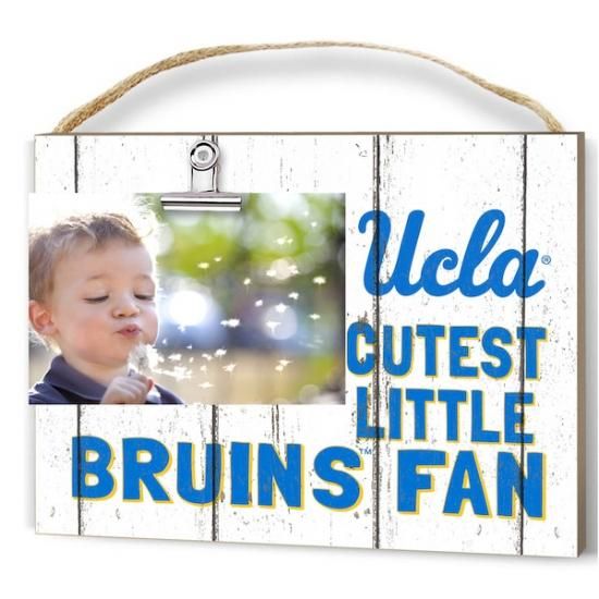 UCLA֥롼 8'' x 10'' åest ȥ ơ  å  ᡼