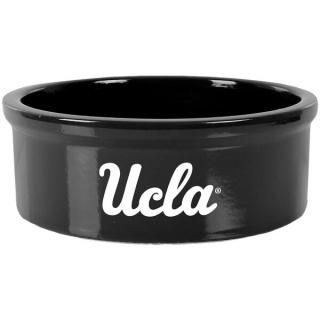 UCLA֥롼 7