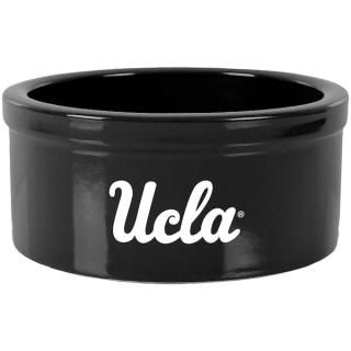 UCLA֥롼 5
