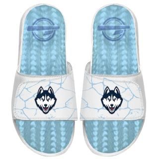 UCn Huskies I饤 ˥å Shåtered   饤  ͥ