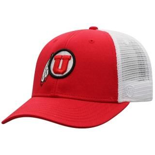 Utah Utes ȥå  the  ӥȥ꡼ ١饤 Ĵǽ ȥå  ͥ