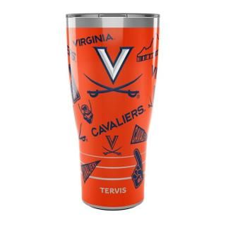 С˥Хꥢ Tervis 30󥹡887ml Swag ֥顼 With  ͥ