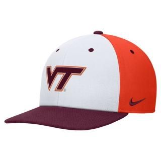 Virginia ƥå Ho ͥ